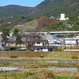 緑の中に置かれた、木箱のような住宅