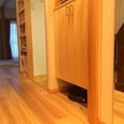 ルンバの居場所
