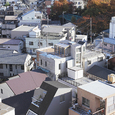 周囲に馴染みながらも個性を放つ