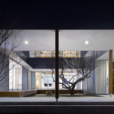 梅ノ木のある家