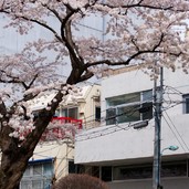 南麻布の二世帯住宅