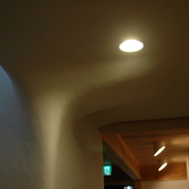 一部天井は左官で有機的な柔らかい仕上げ