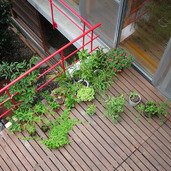 陽が燦々と当たる気持ちの良いウッドデッキのバルコニー