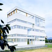 透明感のある外観