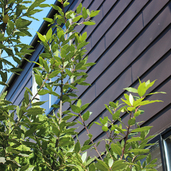 金沢文庫の家　外壁