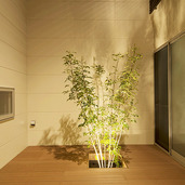 フットライトが照らす中庭の夕景