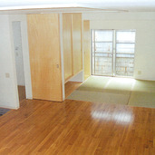 木材に包まれるリビング