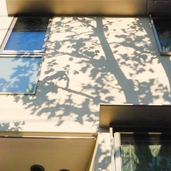 木陰がやさしく壁面を包む