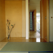 この建物の為に漉いた和紙で、和室の壁を仕上げる