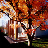 パーゴラのある庭