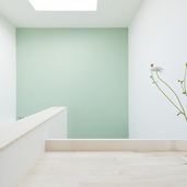 刻々と色の濃さを変える緑の壁