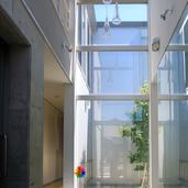 玄関ホールから中庭を見る