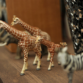 お気に入りの小物でお施主様だけの空間を