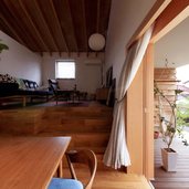 アリンコの巣穴