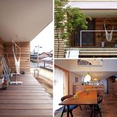 アリンコの巣穴