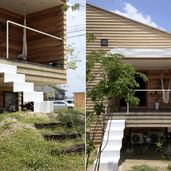 アリンコの巣穴