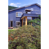 既存の庭（庭１）からみた外観