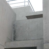 建物アプローチから中が見えないように程よく遮蔽された外壁