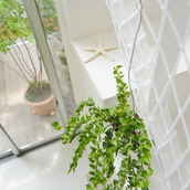 階段の上からもグリーンを飾って