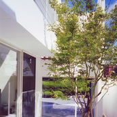 広々とした中庭スペースのある家