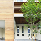 シンボルツリーが彩りを添えるナチュラルな雰囲気の外観