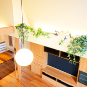 壁際からの部屋のアクセントとなる植栽