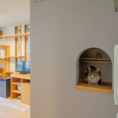 猫のための場所