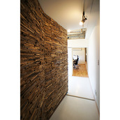 エントランスから室内を見る