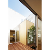 木を植えて生き生きとした空間になった1階中庭