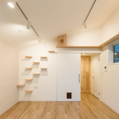 猫と一緒に住む、都心の中庭のある「猫の集合住宅」