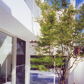 ダイニングキッチン