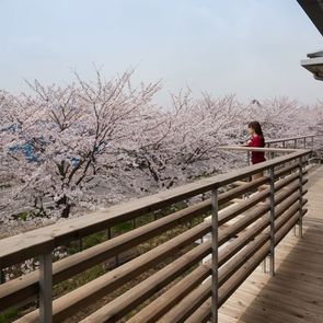 リビングに設置された暖炉