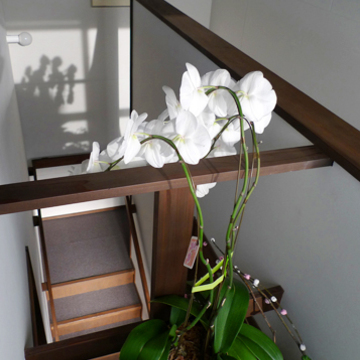 ゆったりとした木造階段