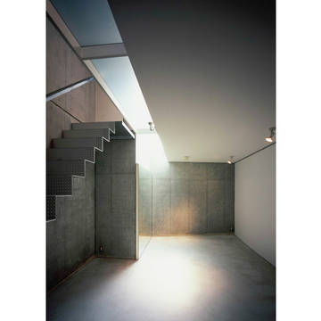 トップライトの光が降り注ぐコンクリート壁のリビング