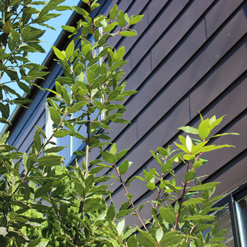 金沢文庫の家　外壁