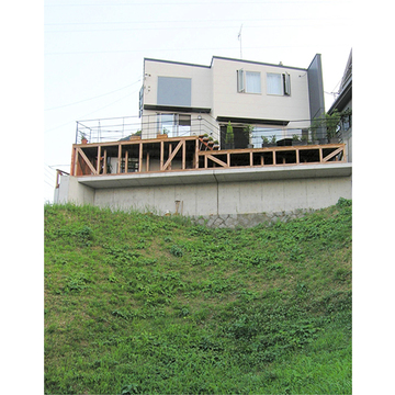 丘の上に佇む家を見上げる