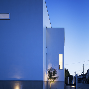 白い外壁に映える成長が楽しみなシンボルツリー