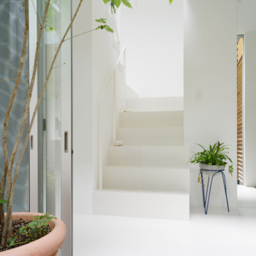 陽射が差し込む明るい階段