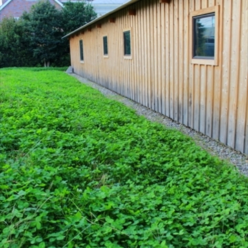 自然の中に佇む家