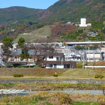 緑の中に置かれた、木箱のような住宅