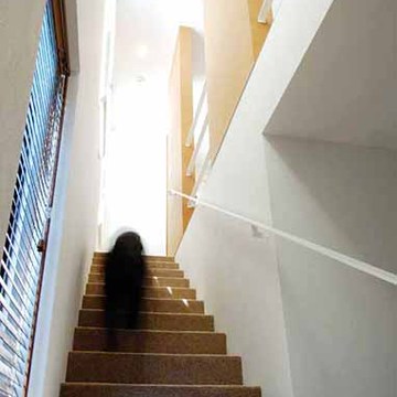 カーペットを敷いた階段