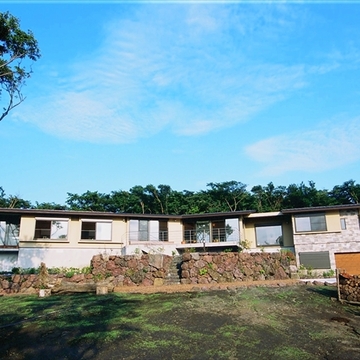 木々を背面に佇む外観