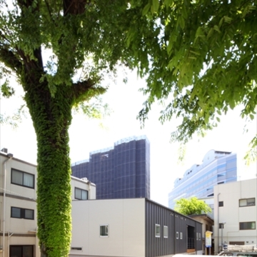 緑に包まれるような外観