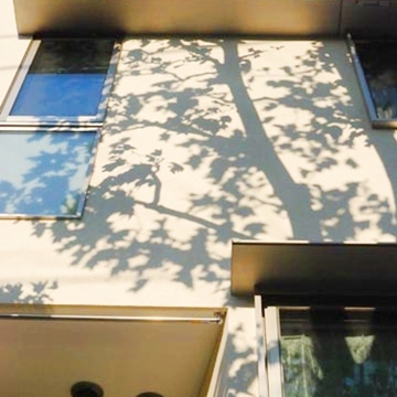 木陰がやさしく壁面を包む