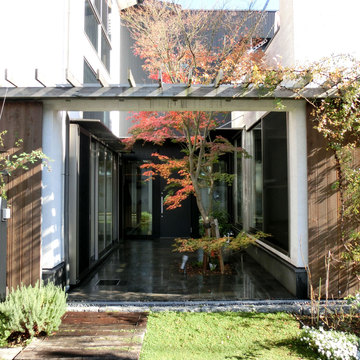 パティオで紅葉するもみじ