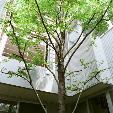 １階の中庭に面した寝室