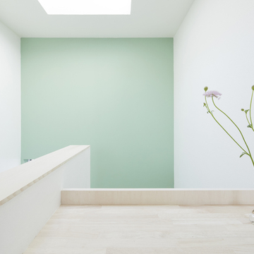 刻々と色の濃さを変える緑の壁