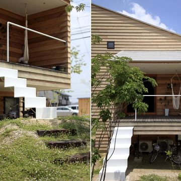 アリンコの巣穴