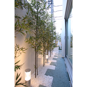 １階の塀の内側の庭