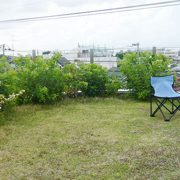 しっかり根付いて。お昼休みは休憩？